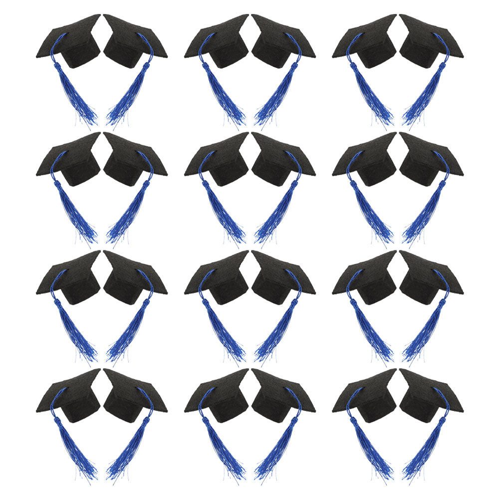 Wine Beer Hat - 24Pcs Mini Graduation Hats with Tassel
